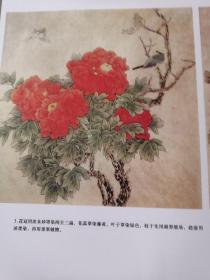 荣华富贵画牡丹