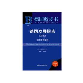 德国发展报告(2020) 转型中的德国 2020版