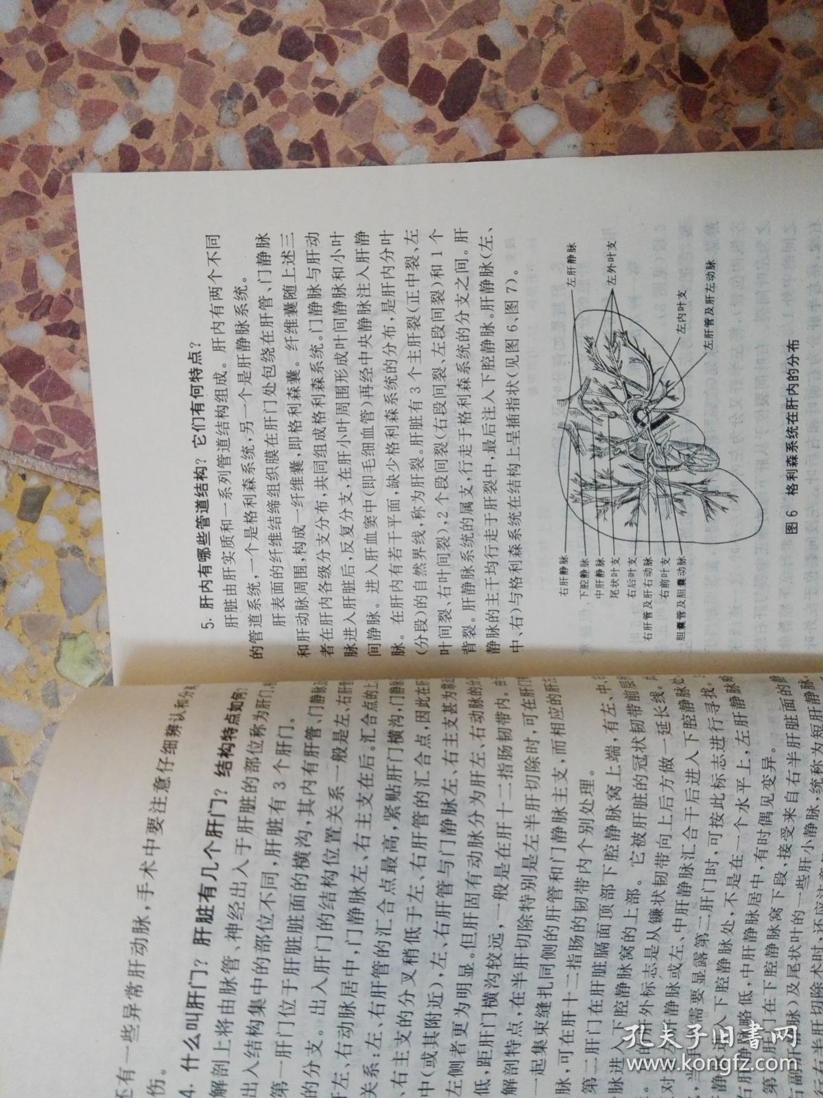 肝胆常见病防治240问