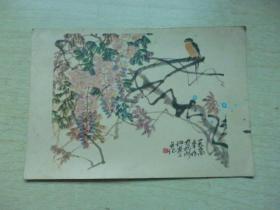 紫藤  画片 1956年