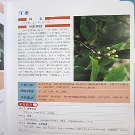 图解百草良方正版全3册16开精装彩图版中草药中医古籍出版社