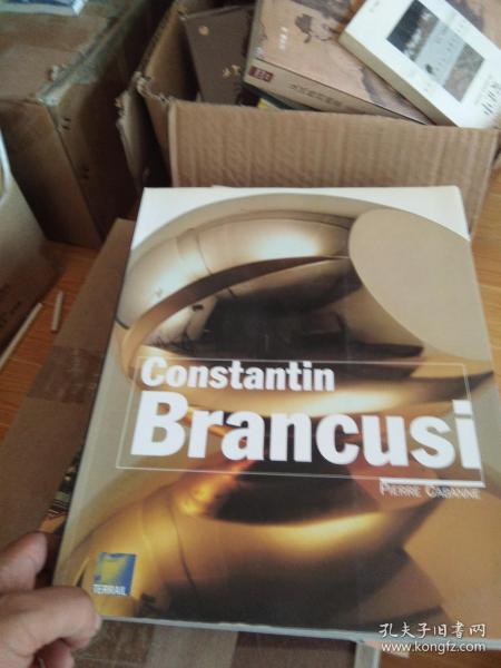 英文原版 Constantin Brancusi