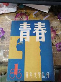 青春青年文学丛刊