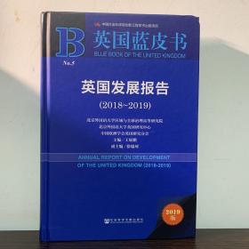 英国发展报告