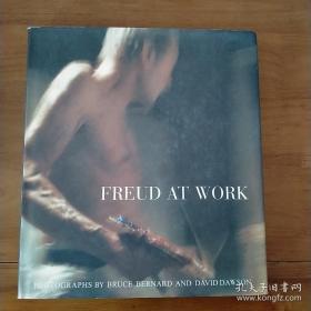 FREUD AT WORK 【英文原版 精装带护封 私藏 品好】