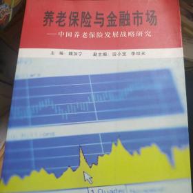 养老保险与金融市场：中国养老保险发展战略研究