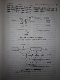 稀缺经典丨代谢综合征病因探索与临床实践（仅印3500册）精装珍藏版16开590页大厚本！