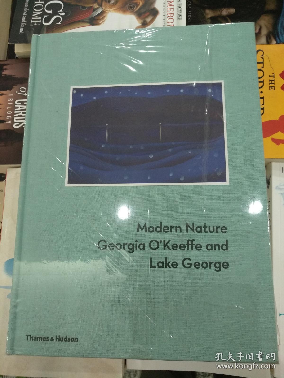 Modern Nature: Georgia O'Keeffe and Lake George【英文原版 未拆封 精装 私藏 品好】