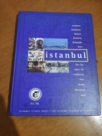 原版土耳其语与英文对照： ISTANBUL （n.伊斯坦布尔（土耳其西北部港市）精装 16开