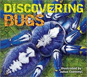 Discovering Bugs迷人的昆虫/原版现货 插图作者Julius Csotonyi