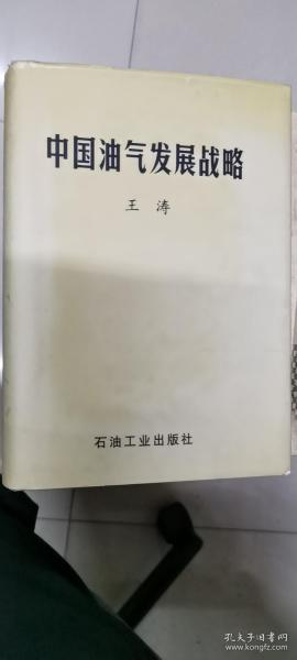 中国油气发展战略