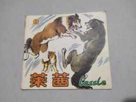 莱茜（2）