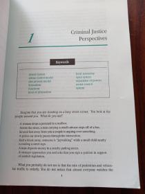 introduction to criminal justice  second edition
