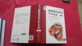 盆腔解剖与妇产科手术图谱（上卷）：妇产科应用解剖与基本术式（第3版）