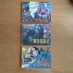 拳王雪恥記上中下