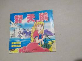 野天鹅