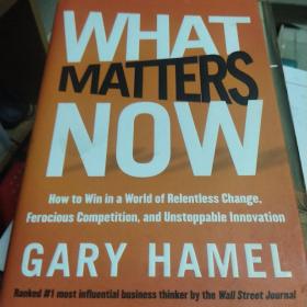 What Matters Now：How to Win in a World of Relentless Change, Ferocious Competition, and Unstoppable Innovation