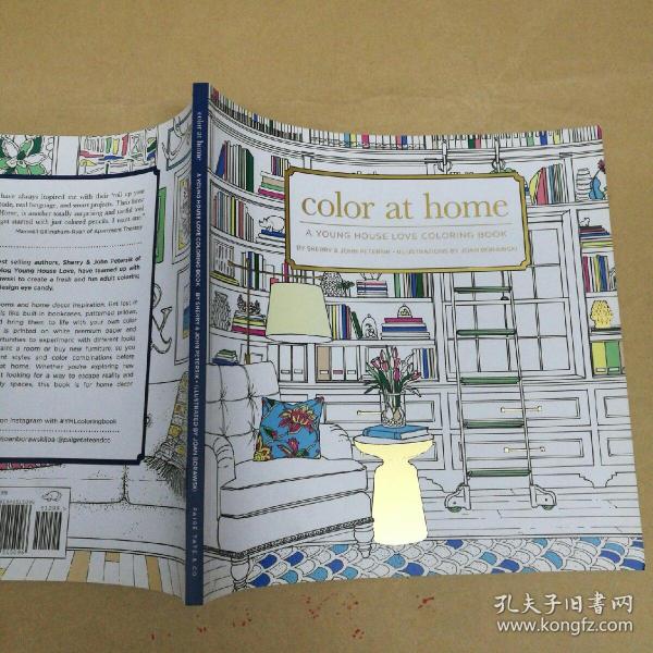 家中的色彩：一本年轻的家庭爱情色彩书 Color at Home: A Young House Love Coloring Book