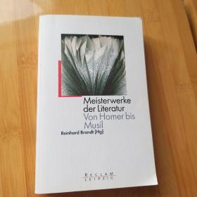 Reinhard Brandt / Meisterwerke der Literatur. Von Homer bis Musil 《文学经典。从荷马到穆齐尔》 德语原版