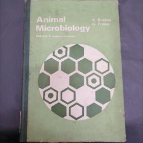 动物病毒学(第2卷立可次氏体和病毒)英文版H2