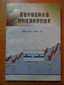正版 套管储层剩余油饱和度测井评价技术