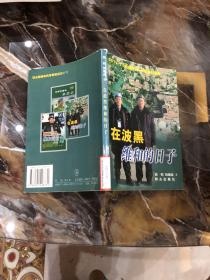 在波黑维和的日子——中国警察维和纪实系列