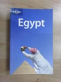 外文书  egypt  共588页