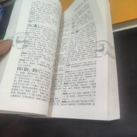 《古汉语常用字字典》