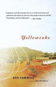 Yellowcake黄饼，英文原版