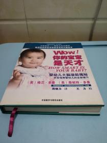 WOW! 你的宝宝是天才：一本关于12个月以内的婴儿大脑生长和开发的权威指导手册（正版现货）一版一印九品