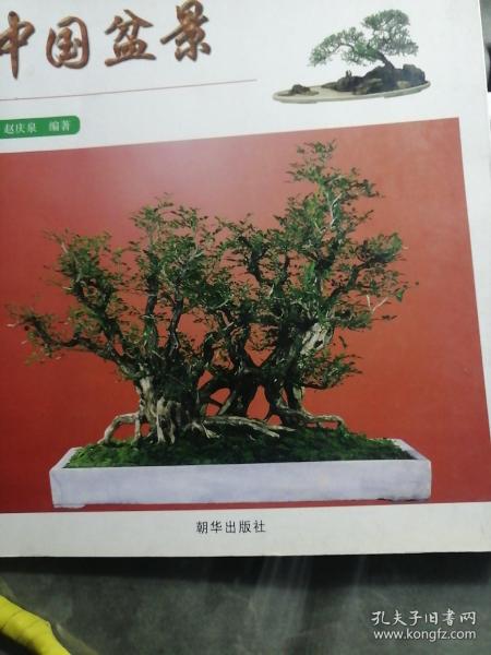 中国盆景