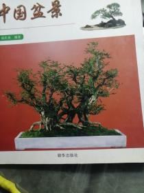 中国盆景