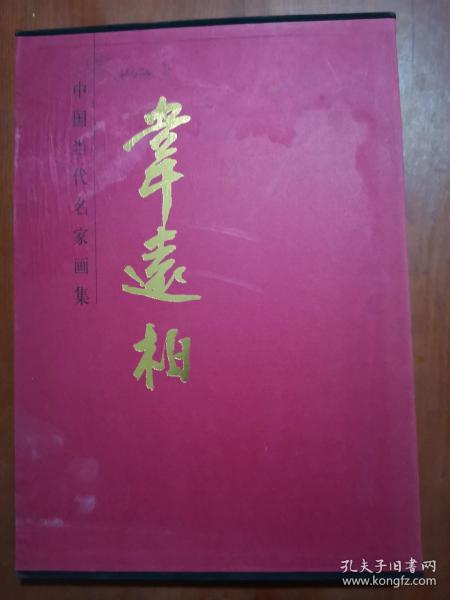 中国当代名家画集：韦远柏