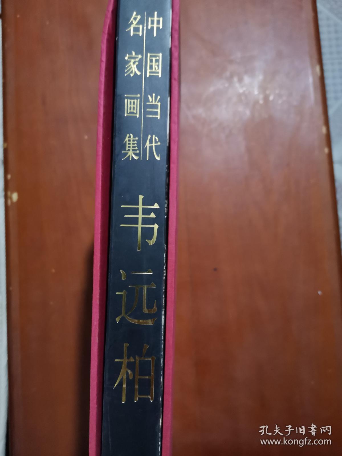中国当代名家画集：韦远柏