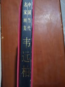 中国当代名家画集：韦远柏