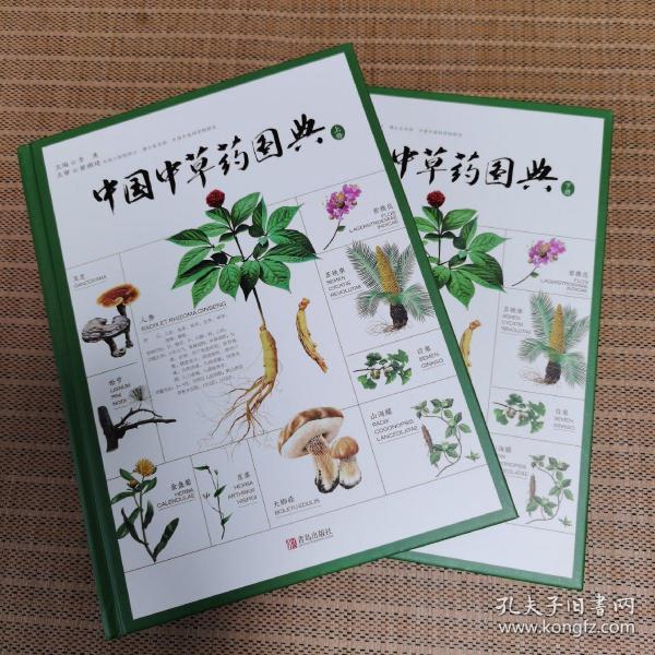 中国中草药图典（全2册）