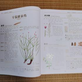 中国中草药图典（全2册）