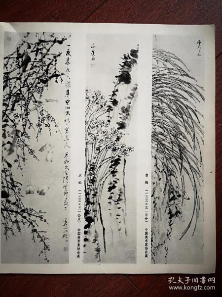 美术插页（单张），邓福觉水印木刻《白梅》《水仙》《梅花金鱼》，虚谷国画三幅