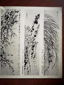 美术插页（单张），邓福觉水印木刻《白梅》《水仙》《梅花金鱼》，虚谷国画三幅