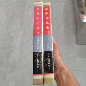 中国文化史(上下卷)