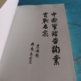中国管理咨询业实战名家