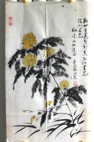 赵舒明？  80年代菊花  作者不知捡漏自鉴网络简介仅供参考C