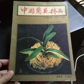 中国兰花精品:投资与栽培