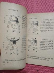 太极拳对练 + 查拳（2本合售）