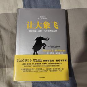 让大象飞:激进创新，让你一飞冲天的创业术