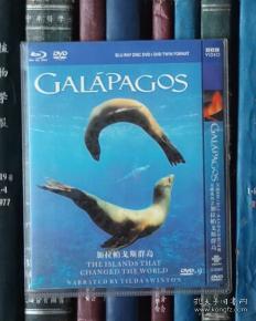 DVD-加拉帕戈斯群岛 Galápagos（D9）