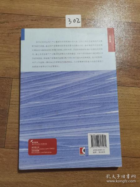 外资主导下产业集群技术创新模式研究