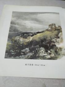 施云翔精品选:签赠本