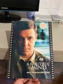 A BEAUTIFUL MIND（美丽心灵 外文原版 16开精装有书衣）