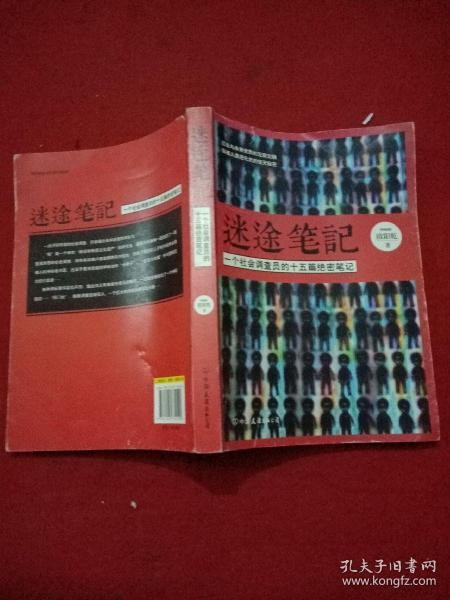 迷途笔记：一个社会调查员的十五篇绝密笔记